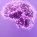 Review supports omega-3 supplementation for cognitive health