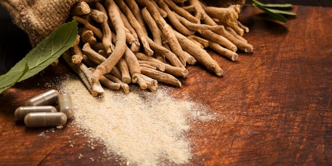Ashwagandha safety review challenges pregnancy risk claims