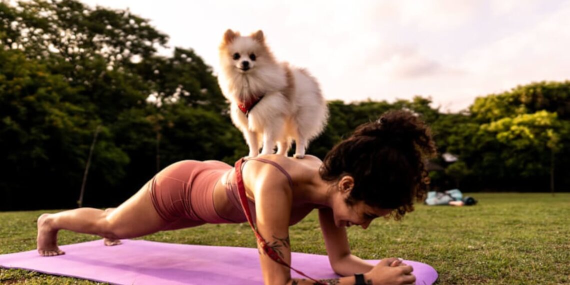 How are pet supplements vetted and regulated in the wellness era?