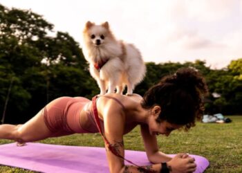 How are pet supplements vetted and regulated in the wellness era?