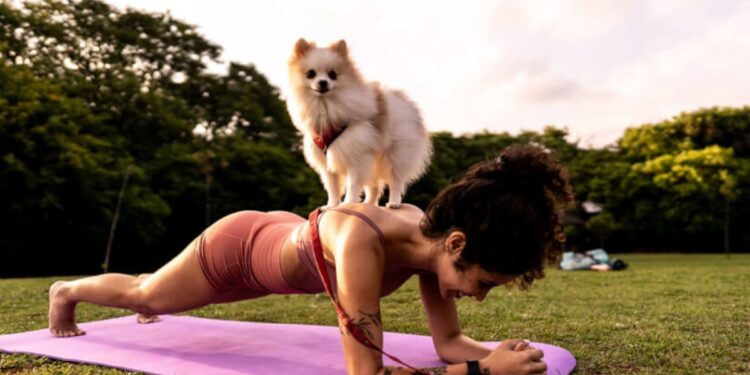 How are pet supplements vetted and regulated in the wellness era?