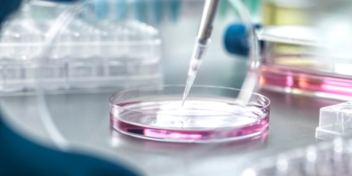 Collagen, NMN, longevity in research round-up