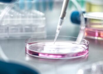 Collagen, NMN, longevity in research round-up