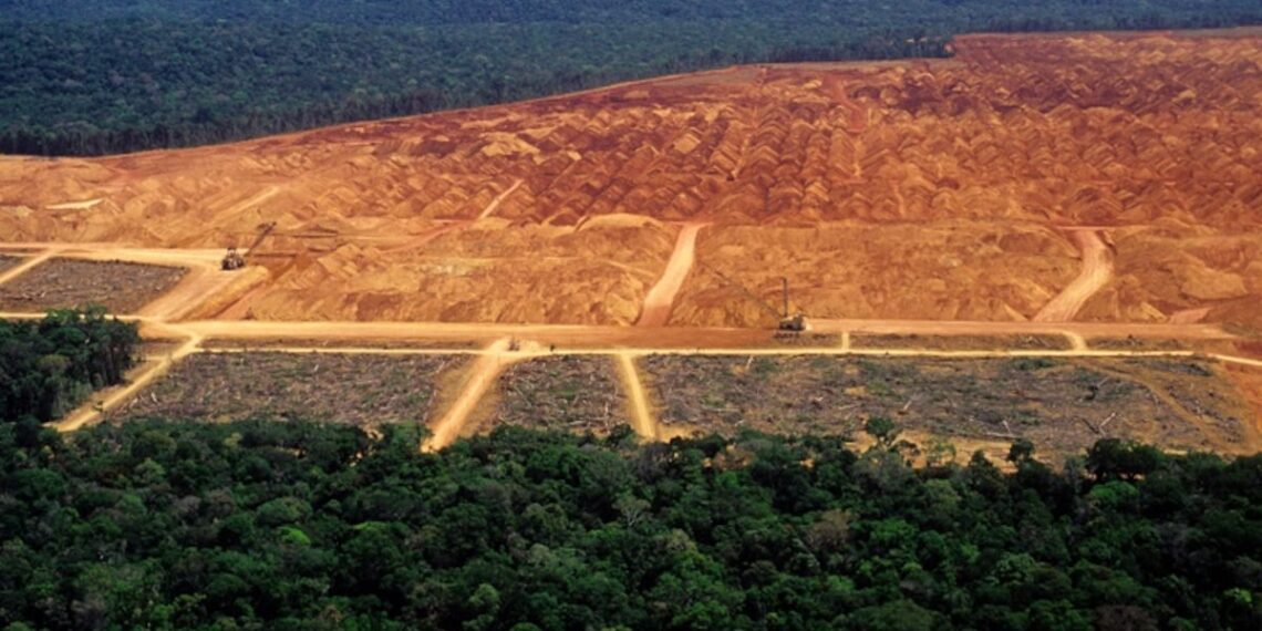 EUDR delay faces pushback from Parliament