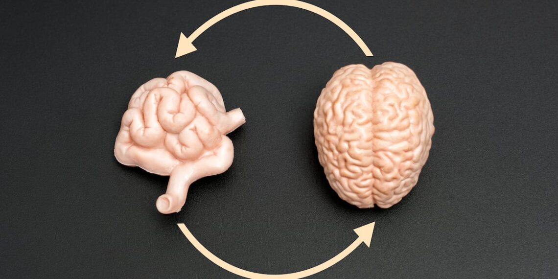 Probiotic may enhance cognitive function in mild impairment: Study