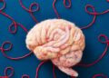 Mind health supplement market targets rising consumer stress and fatigue