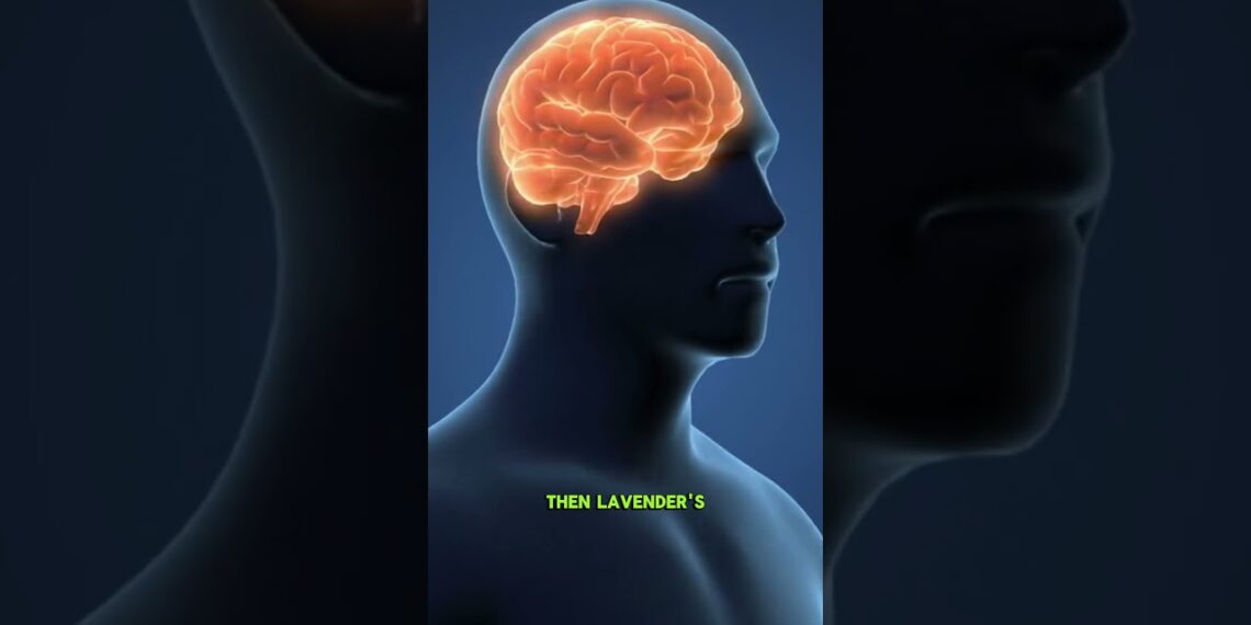 😴 2-Ingredient Sleep Tea: Instant Calm #sleephacks #teatime