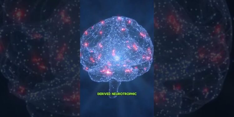 Walking Is Miracle Gro for Your Brain! 🧠 #brainhealth #neurogenesis