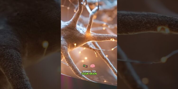 🌅 Sunrise Habit: Reset Your Energy! #morningroutine #energyboost