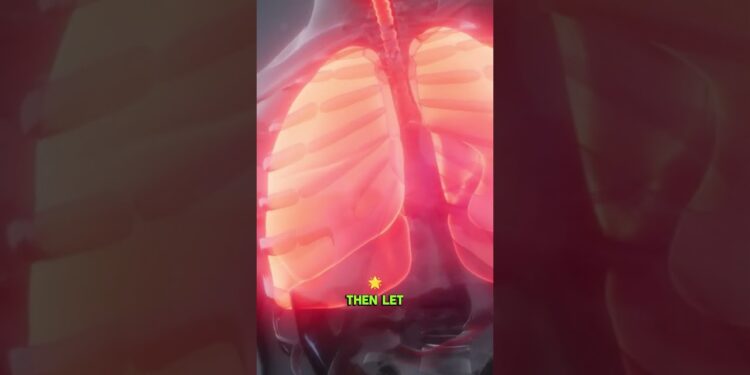 🌬️ 30-Second Sigh: Reset Your Nervous System! #stressrelief #nervoussystem