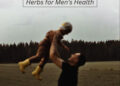 Natural Support for Men’s Health – Remedy Holistic