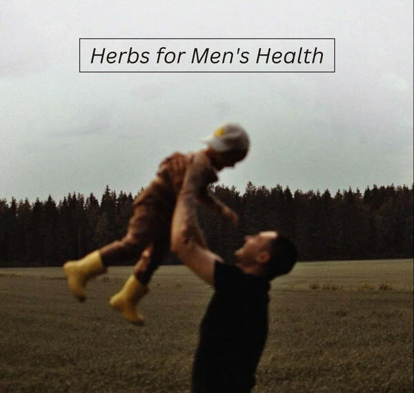 Natural Support for Men’s Health – Remedy Holistic