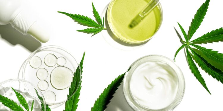 EFSA report sets safe limit for Delta-8 THC