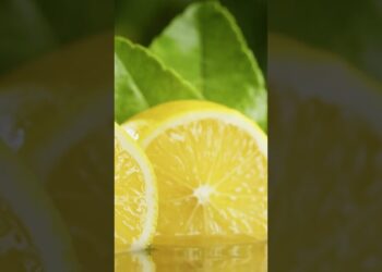 The Simple Oil That Fights Dandruff and Dry Scalp natural scalp rescue #haircare #wellnesstips