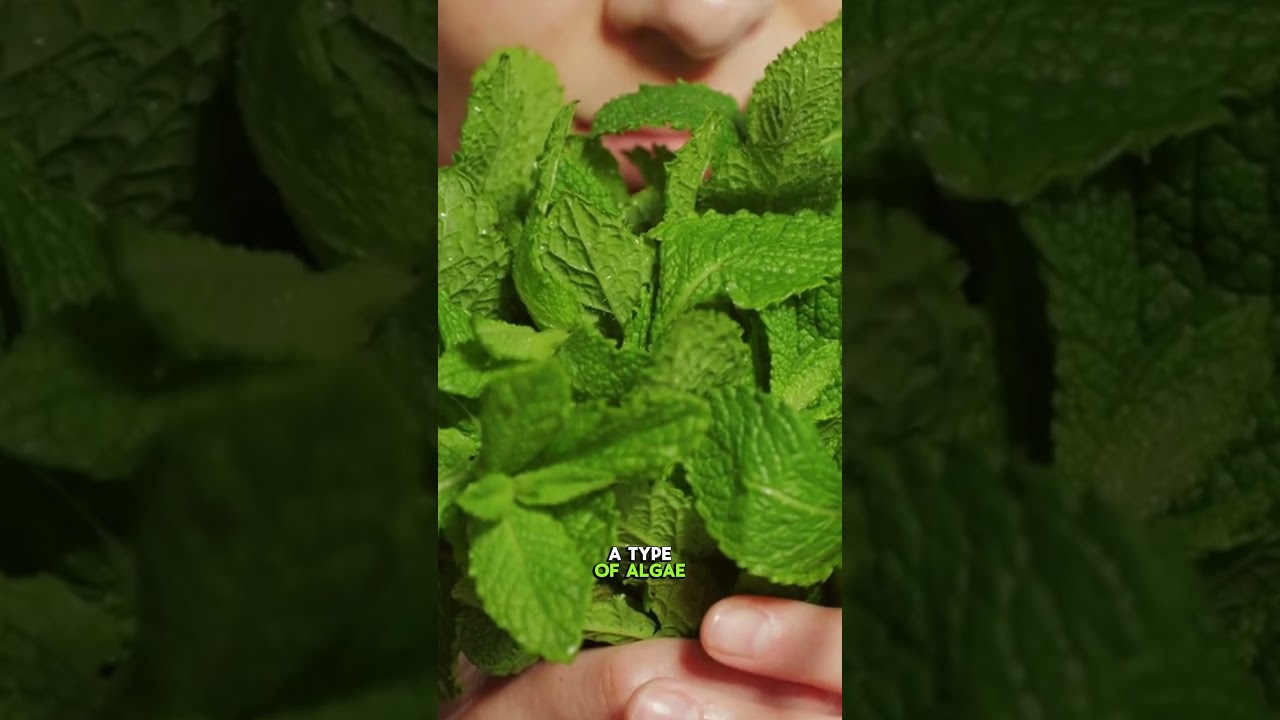 The Simple Detox Food That Fights Environmental Toxins natural body support #healthtips #detoxfoods