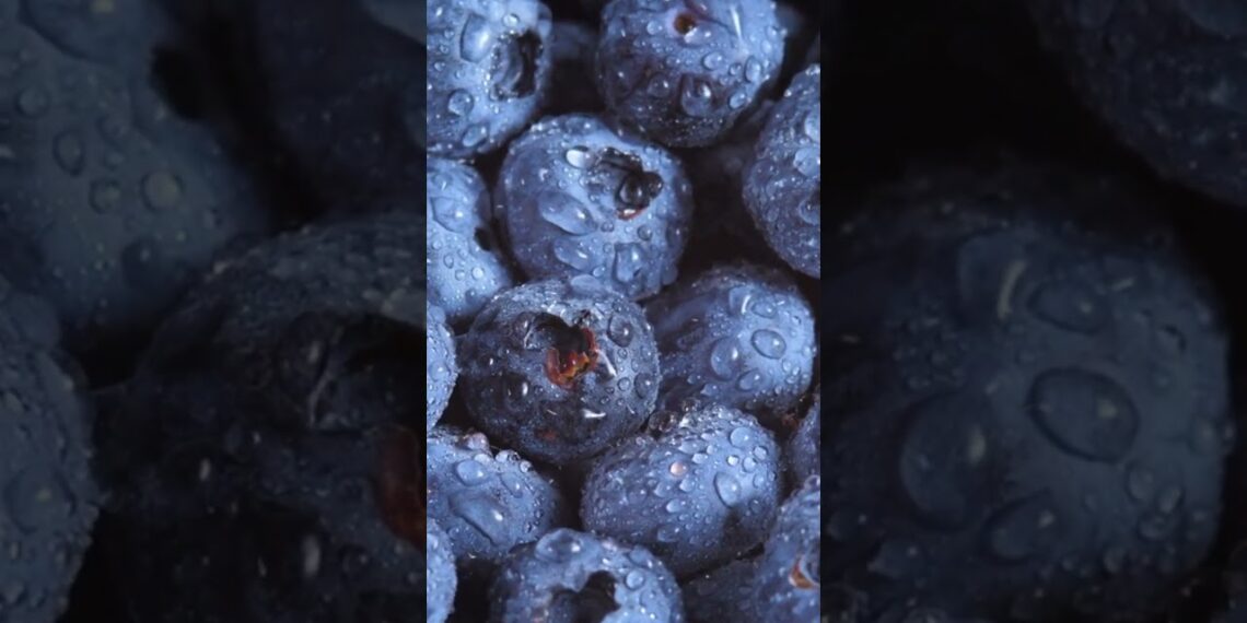 Blueberries: Why You Should Eat This Brain Berry Every Day (Memory Boost!) #blueberries #brainfood