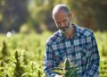 Experts warn hemp bill threatens thousands of jobs