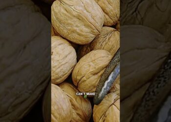 Walnuts: The Brain-Shaped Nut That Feeds Your Brain (Omega-3 Power!) #walnuts #brainfood