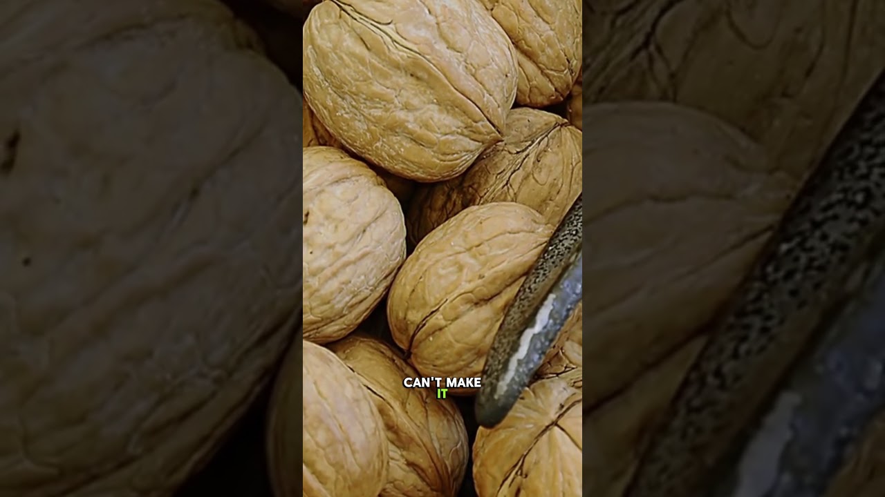 Walnuts: The Brain-Shaped Nut That Feeds Your Brain (Omega-3 Power!) #walnuts #brainfood