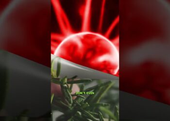 Rosemary: The Common Herb That’s A Secret Brain Booster & Memory Hack #rosemary #brainhealth