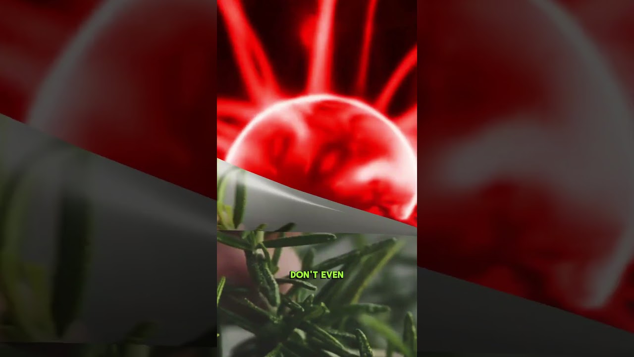 Rosemary: The Common Herb That’s A Secret Brain Booster & Memory Hack #rosemary #brainhealth