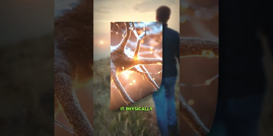 Rewire Your Brain for Happiness: The 2-Minute Habit You Need #neuroscience #dailymotivation