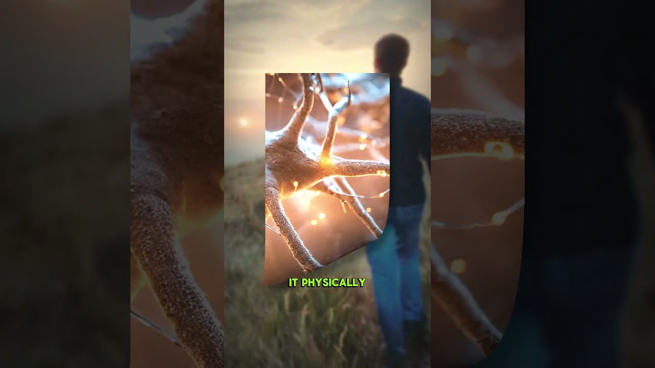 Rewire Your Brain for Happiness: The 2-Minute Habit You Need #neuroscience #dailymotivation