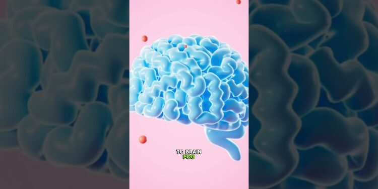 Why You Should Eat This Brain Food Every Week #brainfood #omega3s