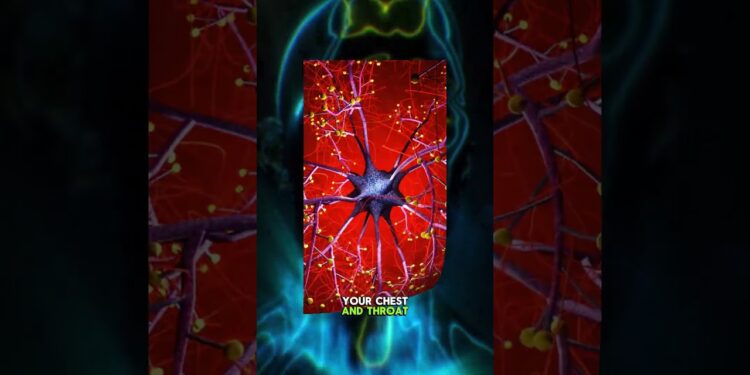 Vagus Nerve Reset: 1-Minute Humming Trick To Instantly Reduce Anxiety #vagusnerve #anxietyrelief