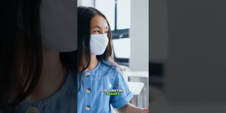 Top 3 Houseplants That Act As Natural Air Purifiers (NASA-Approved!) #airpurifyingplants #houseplant