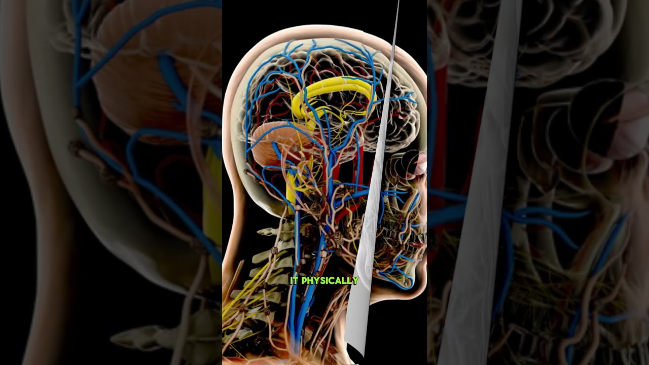 Beat the 3 PM Crash: The Tiny Habit to Stop Afternoon Cravings #healthyliving #snackhacks