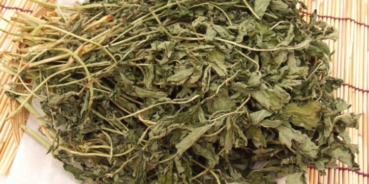 Kirin’s R&D to tackle hallmarks of aging